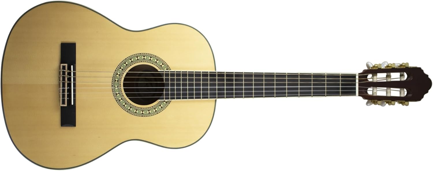 Peavey Delta Woods™ CNS 3/4 Classical Nylon String Guitar