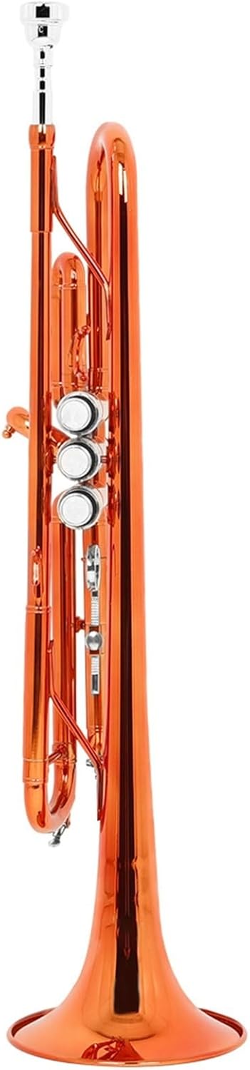 Trumpets The B Flat Trumpet Is A Suitable Instrument For Beginners To Practice On