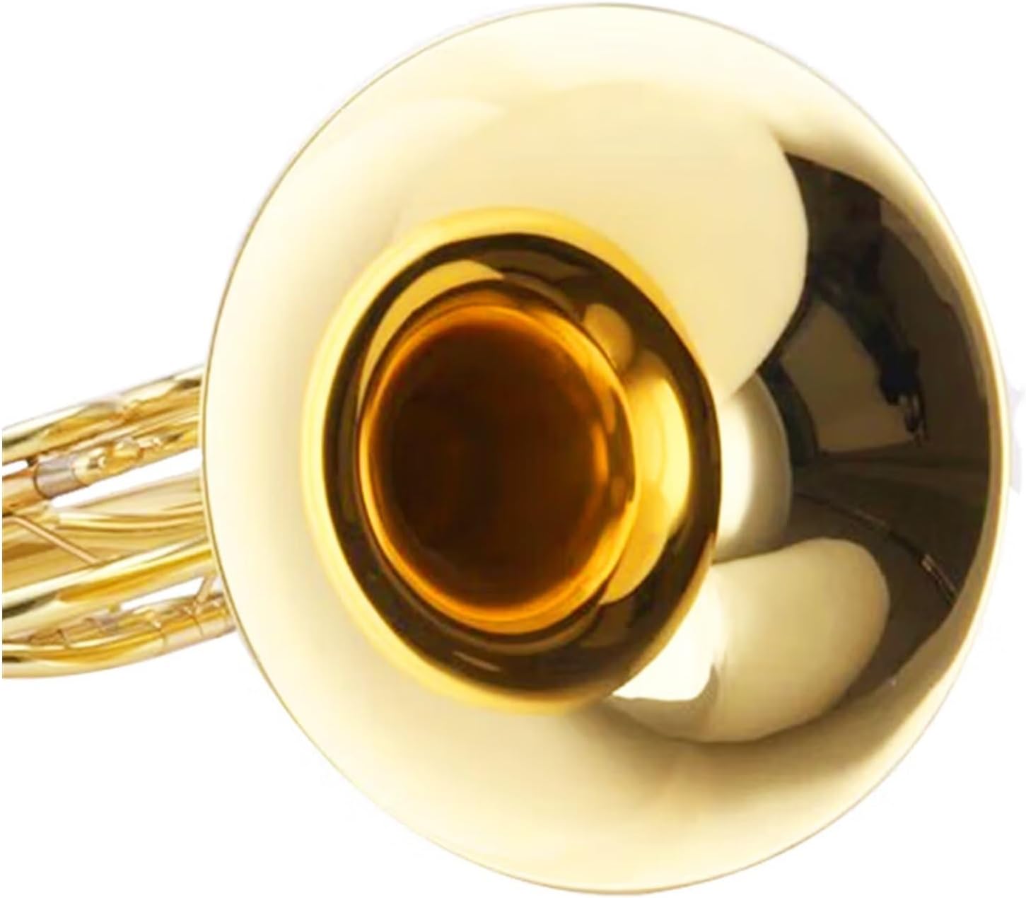 4 Key French Horn Professional Performance Exercises For Beginners Brass Horn In B Flat