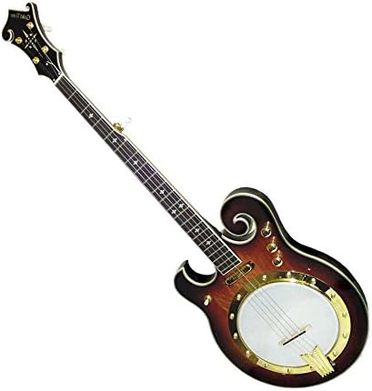 Gold Tone 5-String Electric Banjo - Left Handed