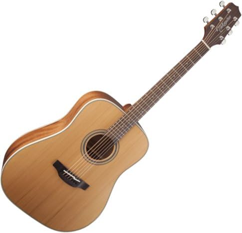 Takamine GD20-NS Satin Natural Acoustic Guitar Dreadnought Spruce Top with Bag