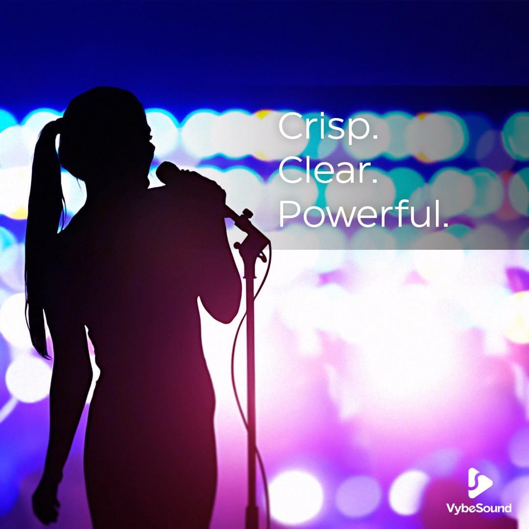 VS-213 Professional Dynamic Vocal Microphone 13ft XLR Cable, On/Off Switch, Noise-Canceling Mic for Karaoke, Singing, Podcasting, Live Stage, and Studio Recording