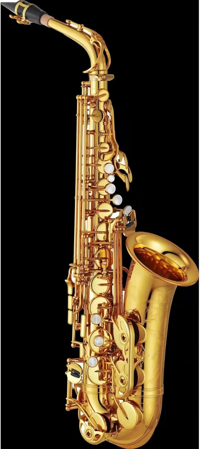 Woodwind Instruments Professional Alto Saxophone Gold Lacquer With Mouthpiece Reeds Neck Case