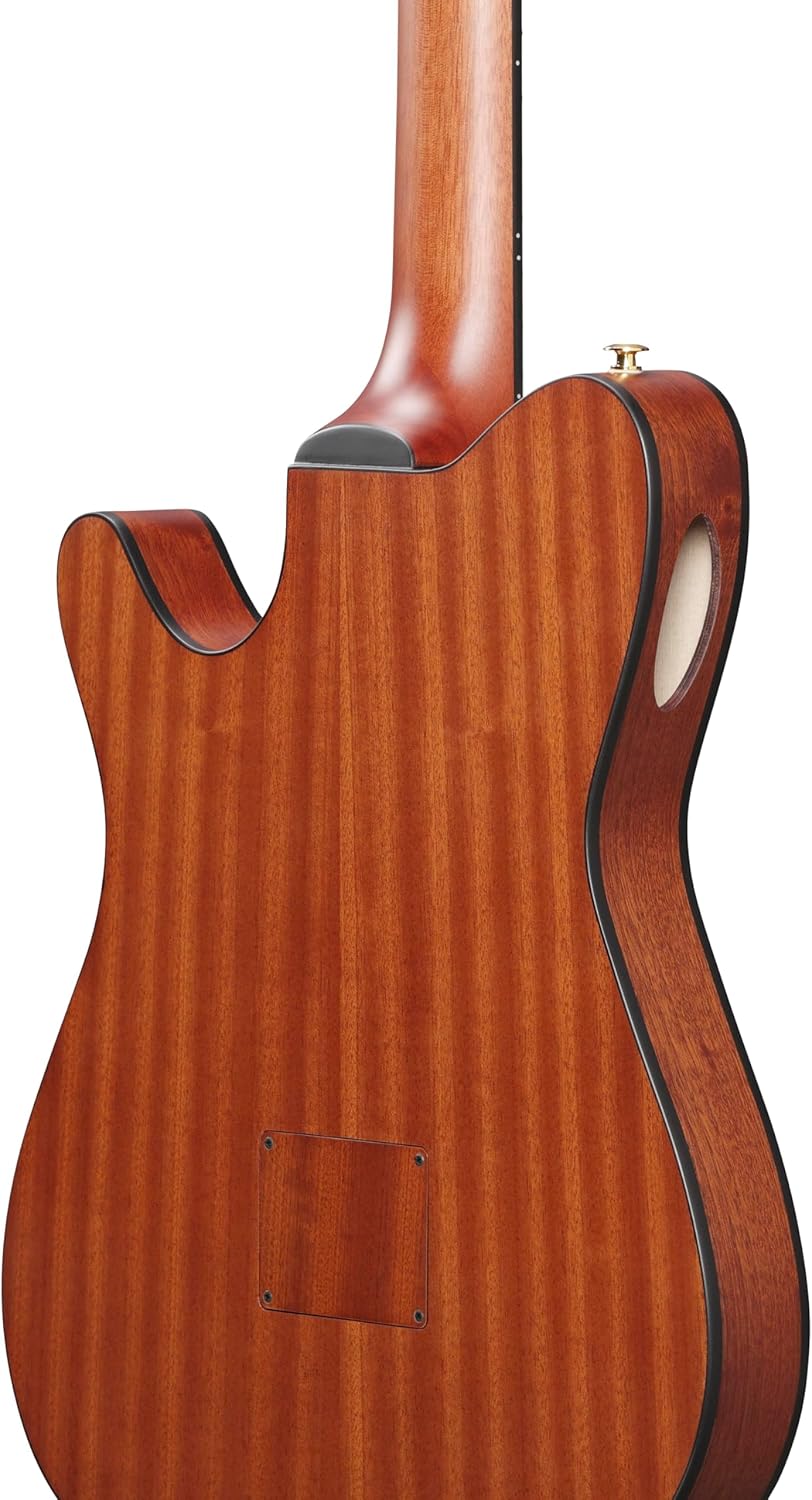 Ibanez FRH10N Thinline Nylon Acoustic-electric Guitar - Indigo Blue Metallic Flat