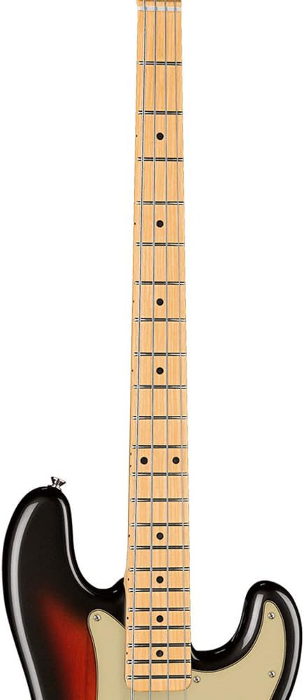 Dean Guitars PARAMOUNT M TSB-KIT-1 4-String Bass Guitar Pack