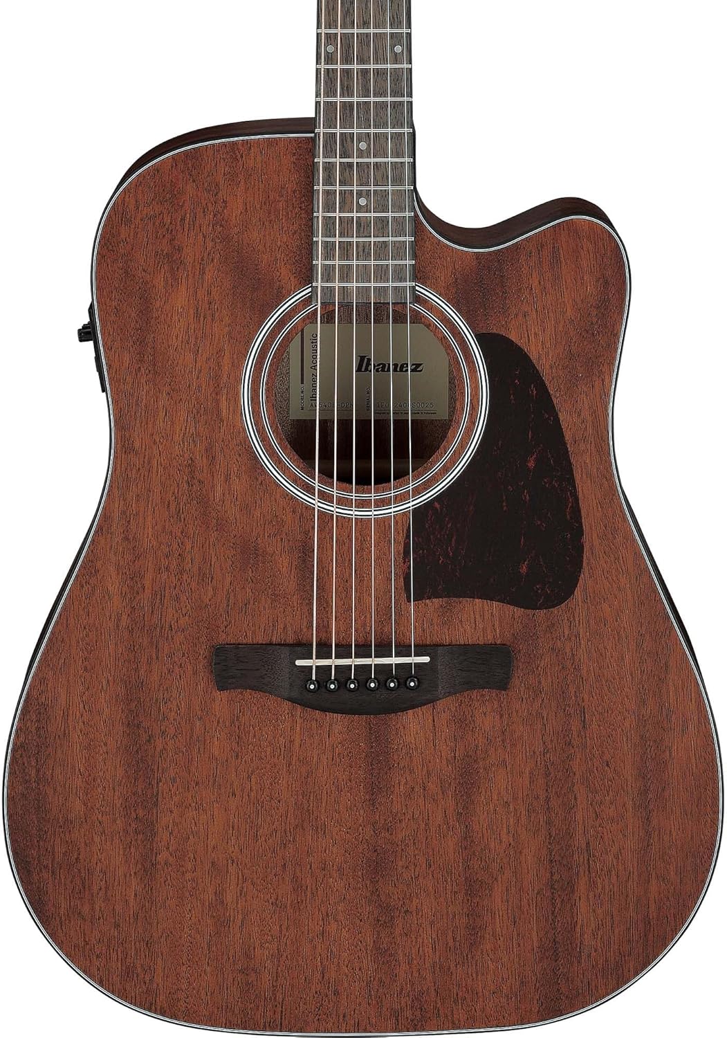 Ibanez AW54CE Artwood Traditional Acoustic-Electric Guitar - Open Pore Natural Bundle with Gig Bag, Tuner, Strap, D'Addario Strings, Picks, Austin Bazaar Instructional DVD, and Polishing Cloth