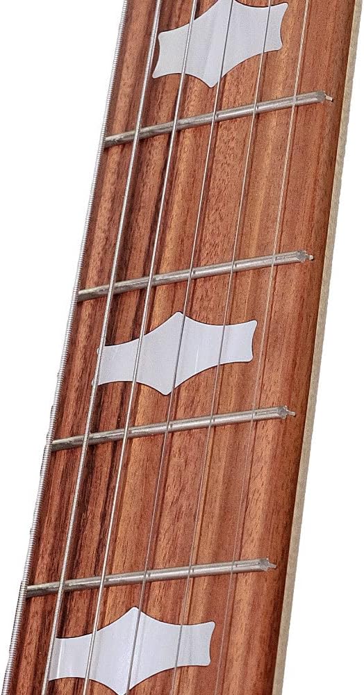 Six-String Goodtime Banjo