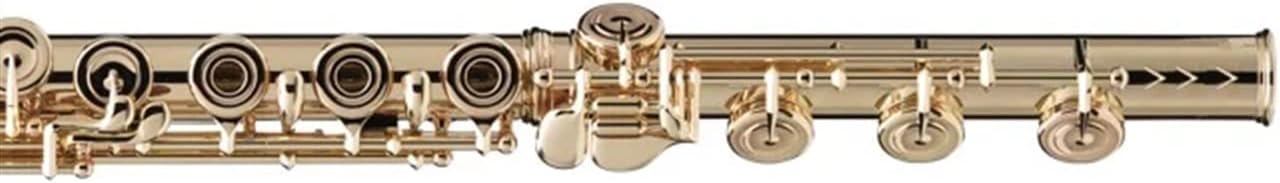 Flute Kit Western Concert Flute Silver Plating 17 Holes C Flutes Key Woodwind Instrument Mini Screwdriver Padded Intermediate Flute (Color : Gold)