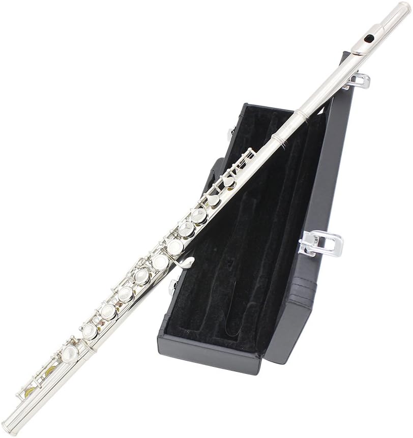 Flute Cupronickel Nicke Plated 16 Holes C Key Woodwind Instrument with Cleaning Cloth Stick Gloves Mini Screwdriver Padded Case