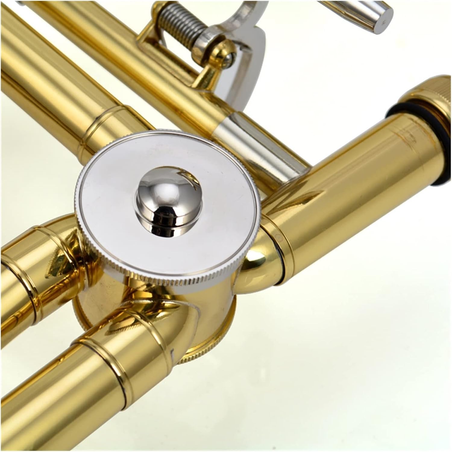 TSTS B/F Drop Lacquer Golden Brass Tone-Shifting Trombone Beginner Trombone