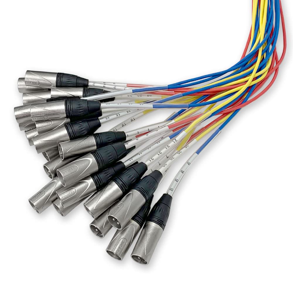 Seismic Audio SARMSS-24x310-24 Channel XLR TRS Combo Splitter Snake Cable - 3' and 10' XLR Trunks