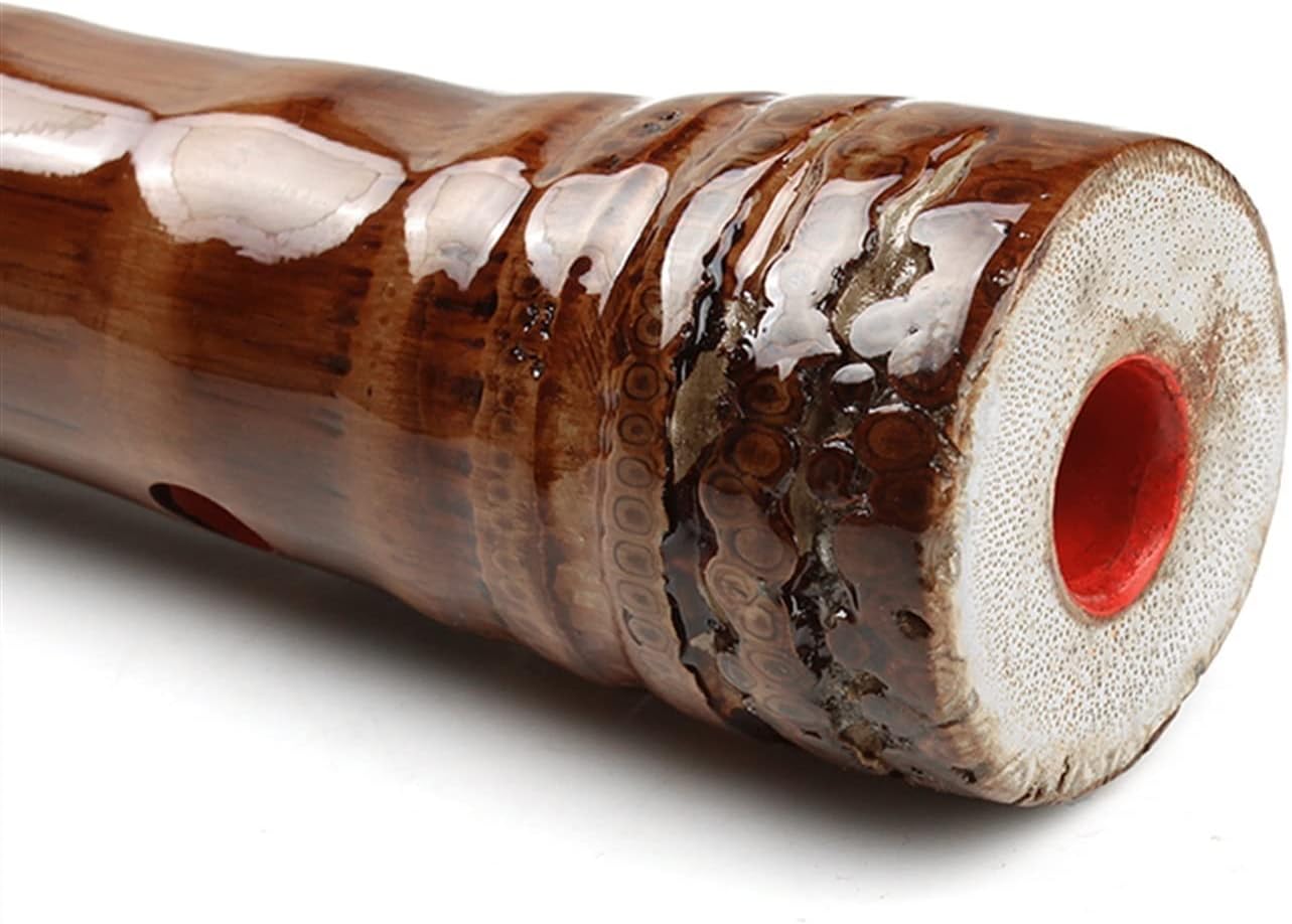 TSTS Chinese Bamboo Flute G/F Key 8 Holes Professional Brown Glossy Vertical Bamboo Flute Chinese Woodwind Musical Instruments (Color : G)