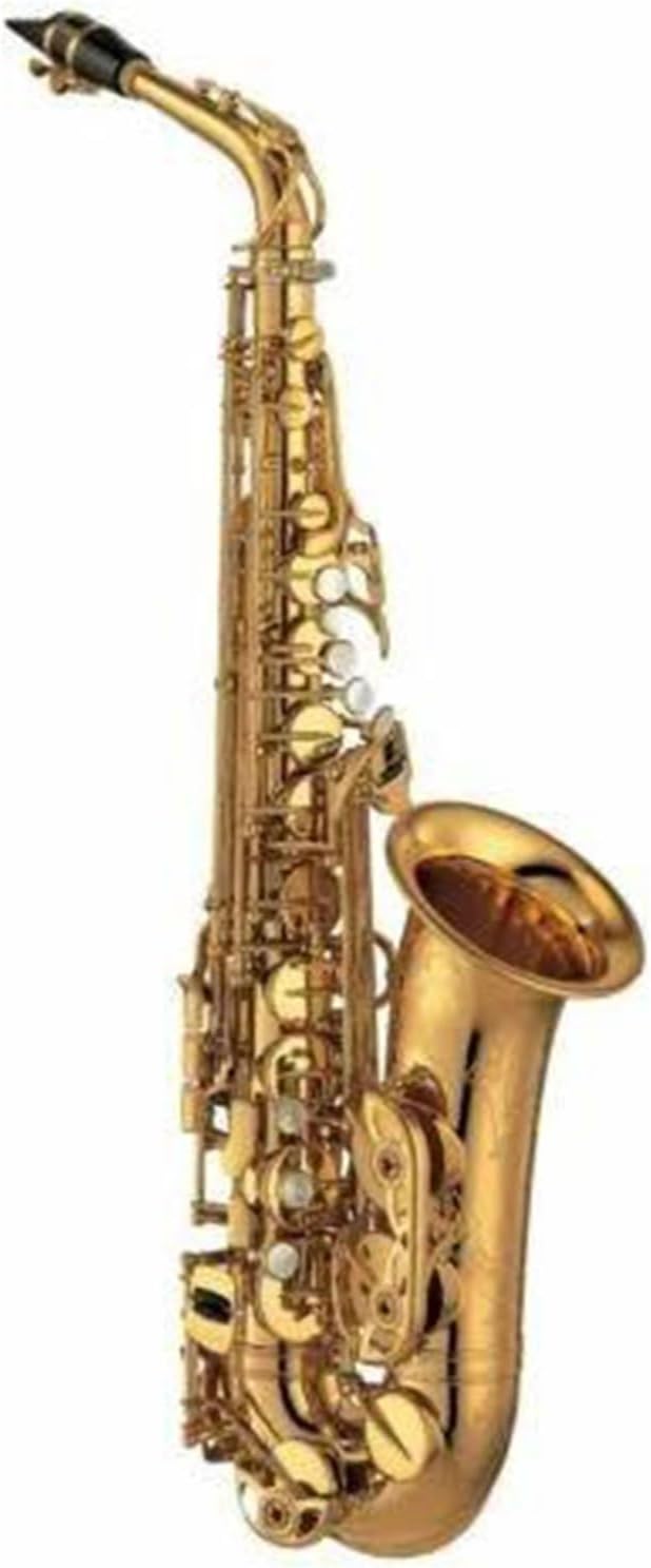 Woodwind Instruments Professional Alto E Saxophone Gold Silver Alto Saxophone With Case Mouthpiece (Color : Gold)
