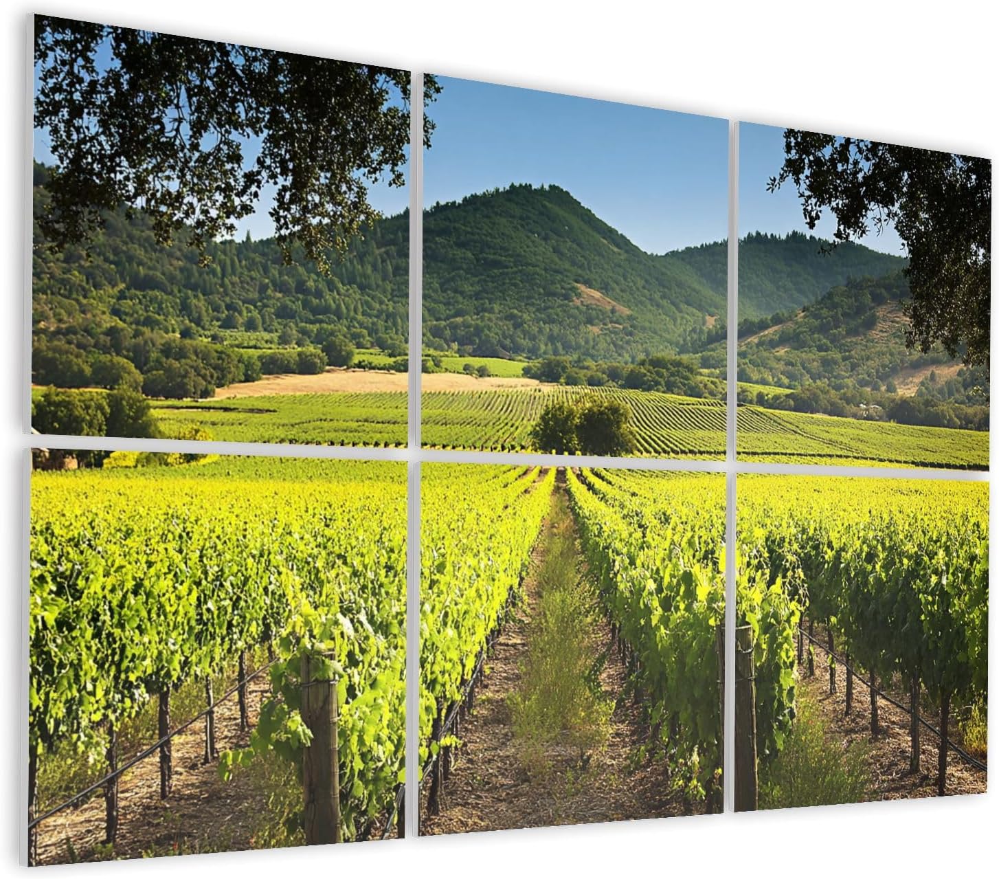 6 Pack Art Acoustic Panels Self Adhesive Napa Valley California Vineyard Winery Decorative Soundproof Wall Panels Sound Absorbing Panel 48