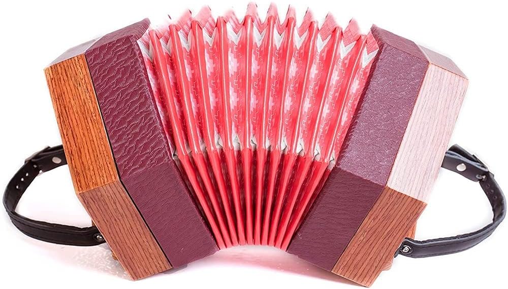 30 Buttons Concertina Accordion, Carrying Bag, Adjustable Hand Strap, For Adults Kids Beginner Daily Practice Stage Performance