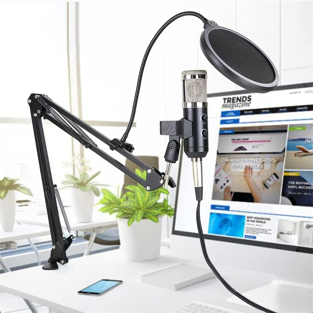 USB Bm 900 Microphone Condenser Microphone for Computer Recording Studio Recording Microphone with Stand (Color : Silver, Size : BM 900)