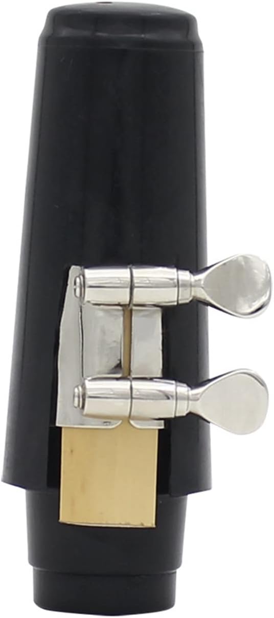 Silver Alto Saxophone E-Flat Alto Saxophone Wind Instrument with Accessories