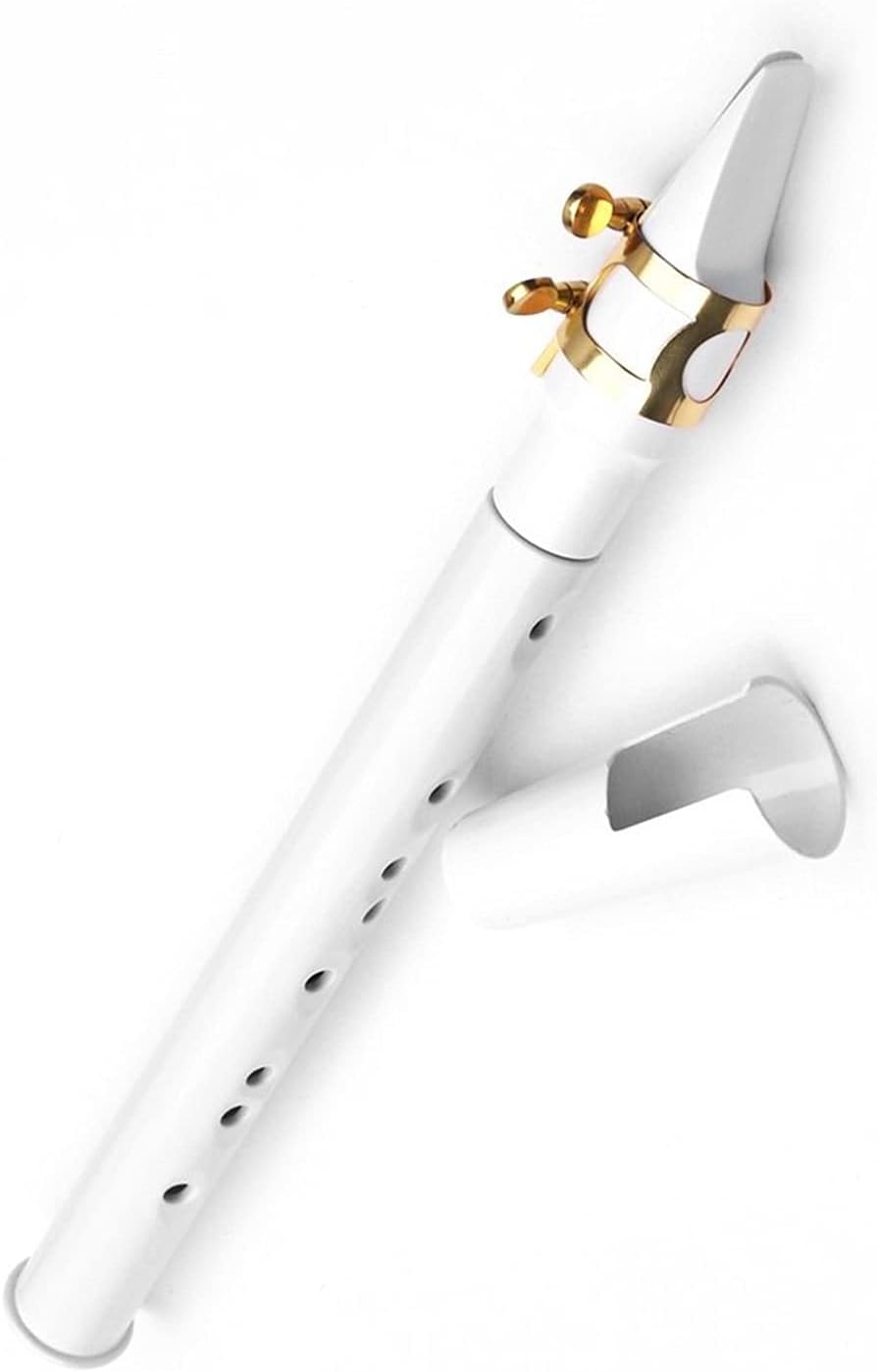 Sax Beginners Kit Mini Pocket Saxophone Sax ABS Material with Mouthpieces 10pcs Reeds Carrying Bag Woodwind Instrument Wind Instrument (Color : White 01)