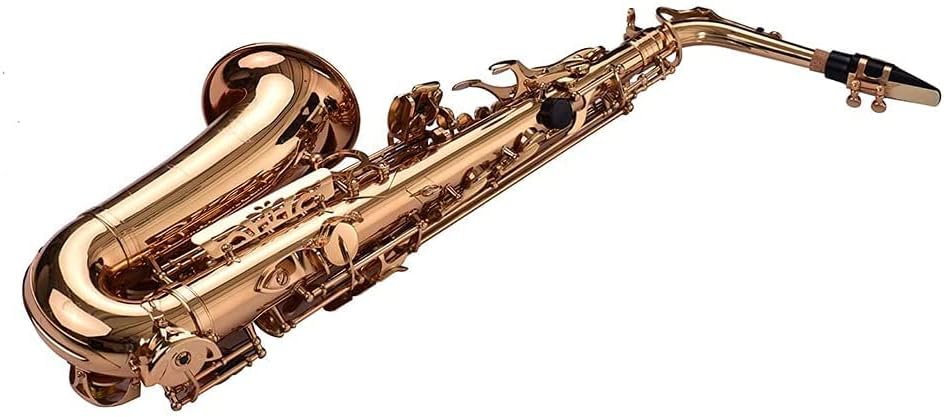 EB Alto Saxophone Sax Brass Material Wind Instrument with Carry Case Gloves Cleaning Cloth Sax Straps Tuner