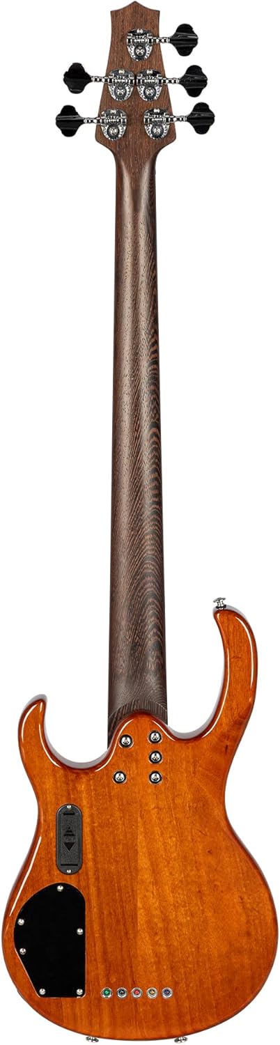 H. Jimenez 5 String Glossy Gold Top Bass Guitar With Deluxe Padded Gig Bag (LBS5-GT)