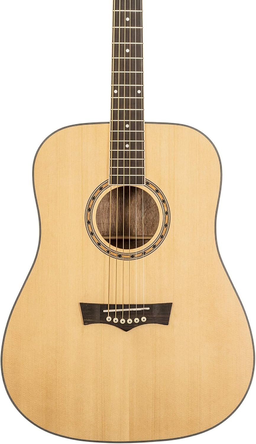 Peavey Delta Woods DW-1 Acoustic Guitar