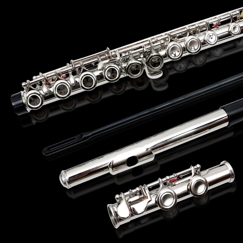 16 Key Closed Hole C Flute - Student Flute for Beginners,Easy to Play with Durable Design, Includes Carrying Case, Cleaning Kit, Gloves, Perfect for Learning(Silver)