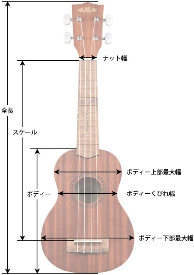 Kala UBASS-EBY-FSRW Striped Ebony Acoustic-Electric Ukulele Bass with Round Wounds