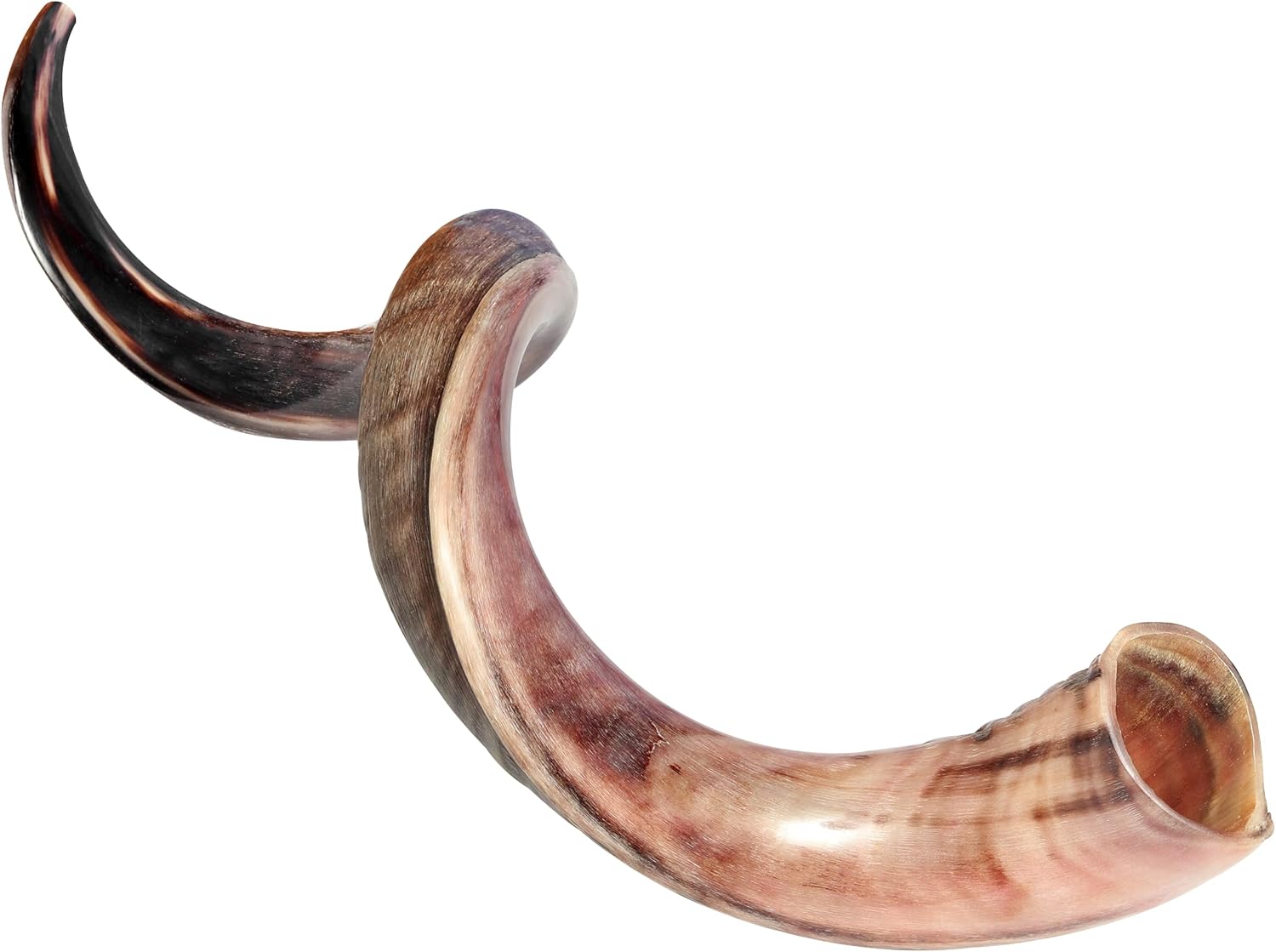 HalleluYAH Original Kosher Half-Polished Kudu Shofar From ISRAEL