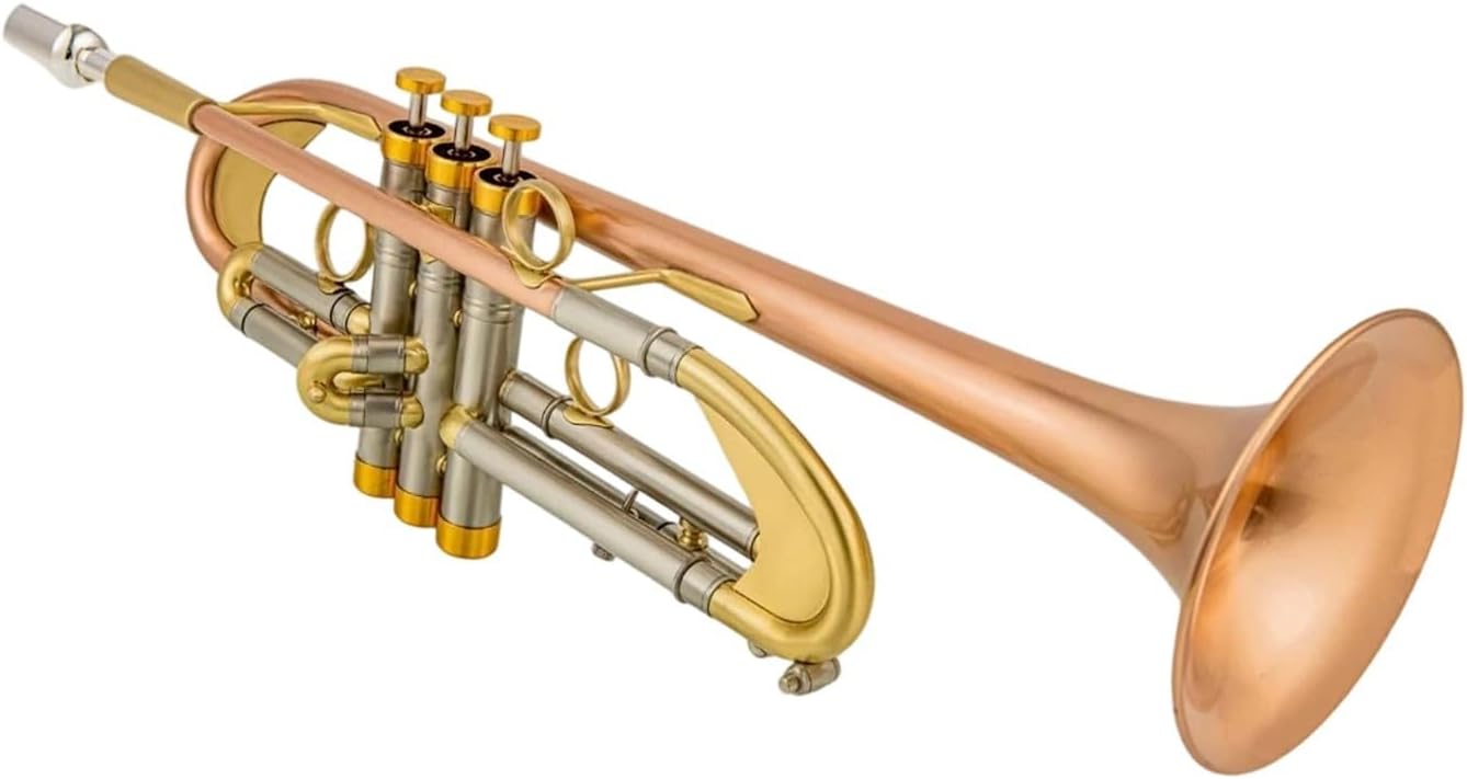 Trumpet Brass Set Bb Trumpet Phosphor Bronze Plated Professional Brass Instrument With Hard Case