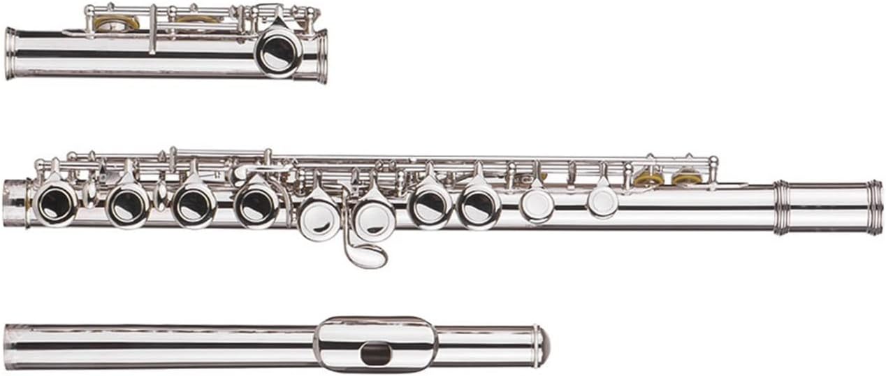 TSTS Flutes Musical Instrument Beginner 16 Holes Close Holes Flute C Key Flute Instrument with E Key Professional Performance Woodwind