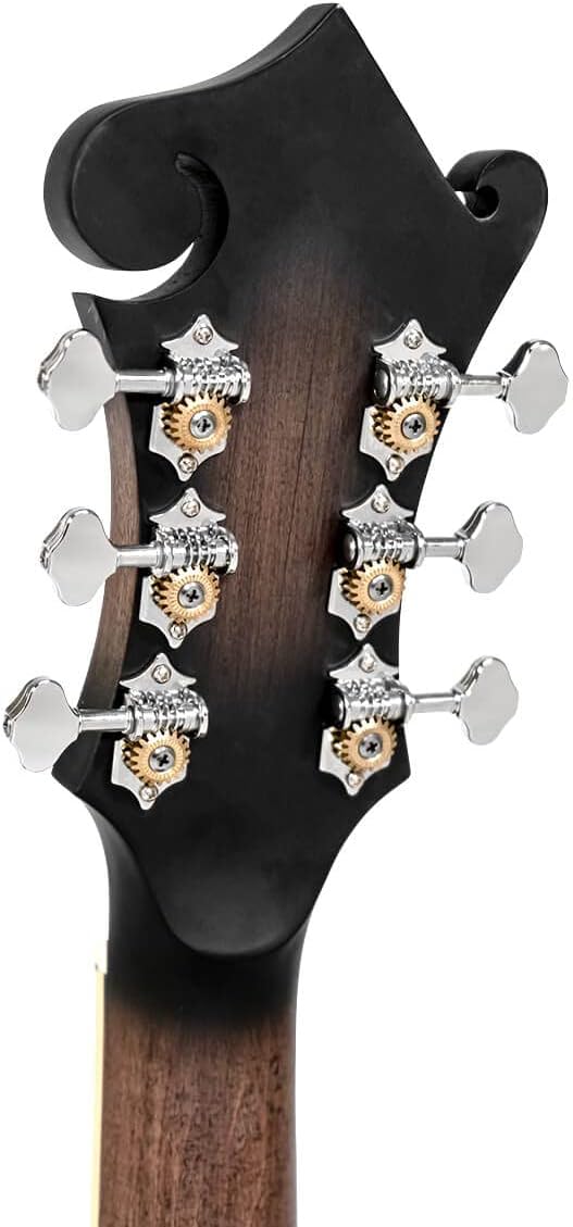 Goldtone F-6 Long Scale Manditar Cutaway Mando-Guitar w/Case