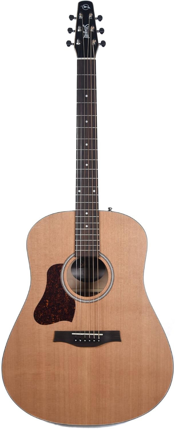 S6+ GT Acoustic Guitar