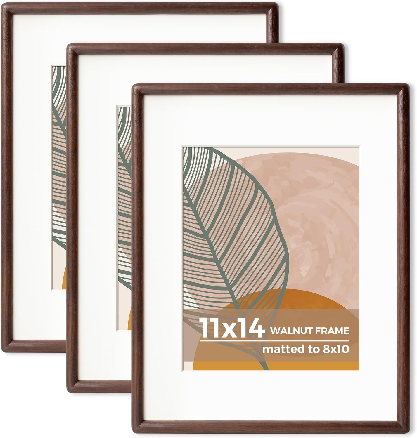 Axeman 11 x 14 Walnut Frame Set of 3 - Rounded Corner 11x14 Picture Frame Matted to 8x10 - Natural Walnut Wood 14x11 Photo Frame with Tempered Glass for Wall Mount Display