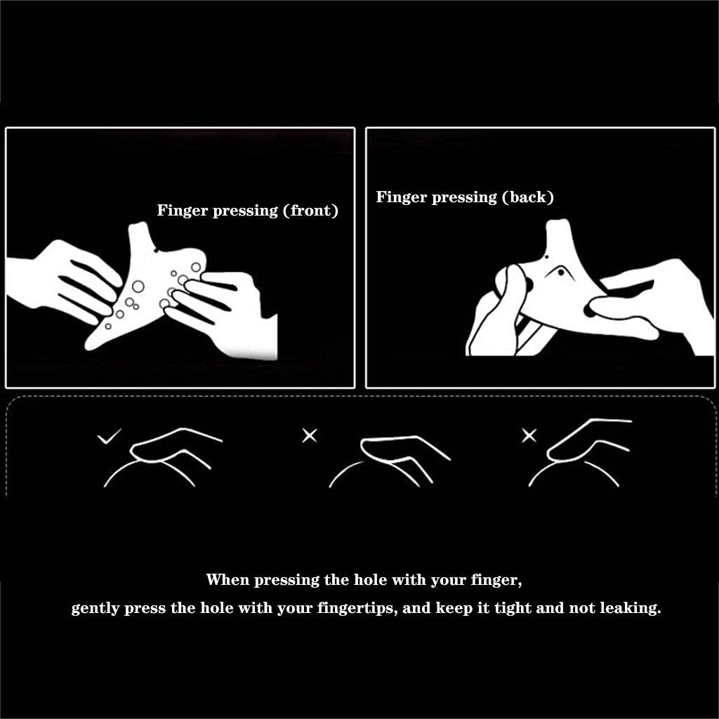 Ocarinas 12-Hole Alto AG Tone Professional for Beginners Minority National Musical Instrument 12-Hole Whistle Flute Instrument (Color : Brown, Size : 19.5 * 11.3cm)