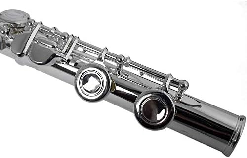 THE WILMINGTON CLOSED HOLE C FLUTE