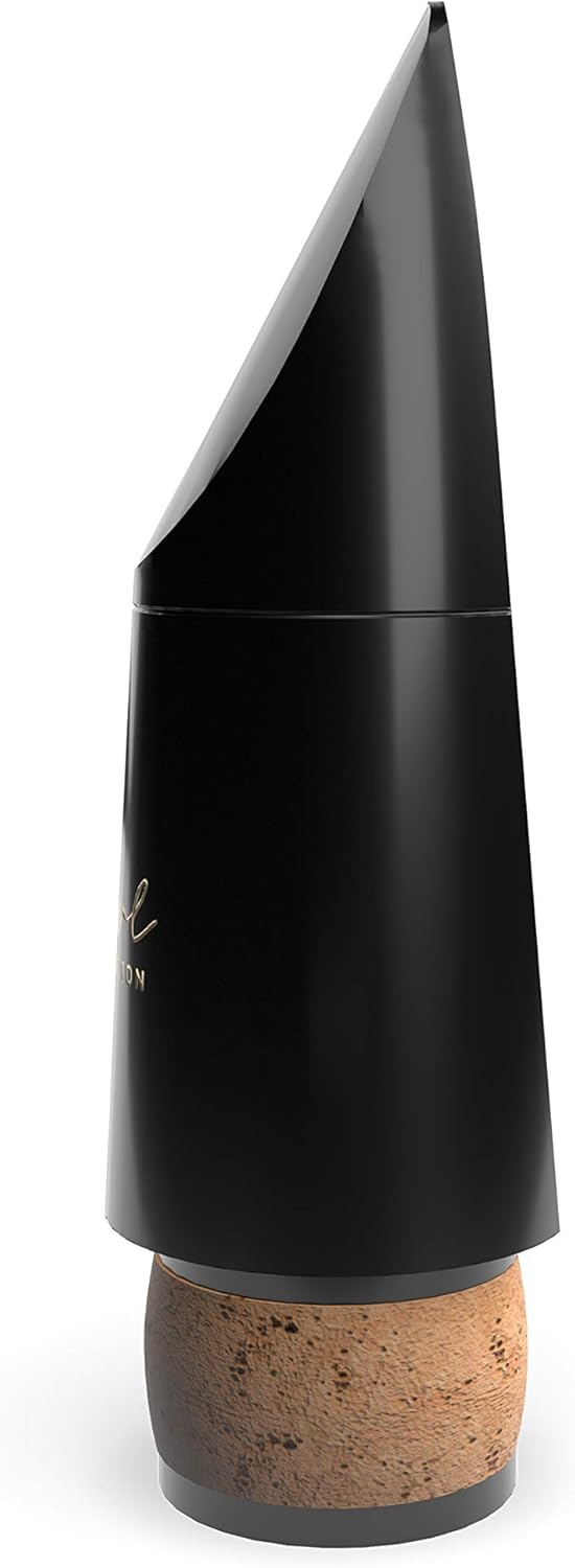 D'Addario Woodwinds Clarinet Mouthpiece (MCE-EV10E)