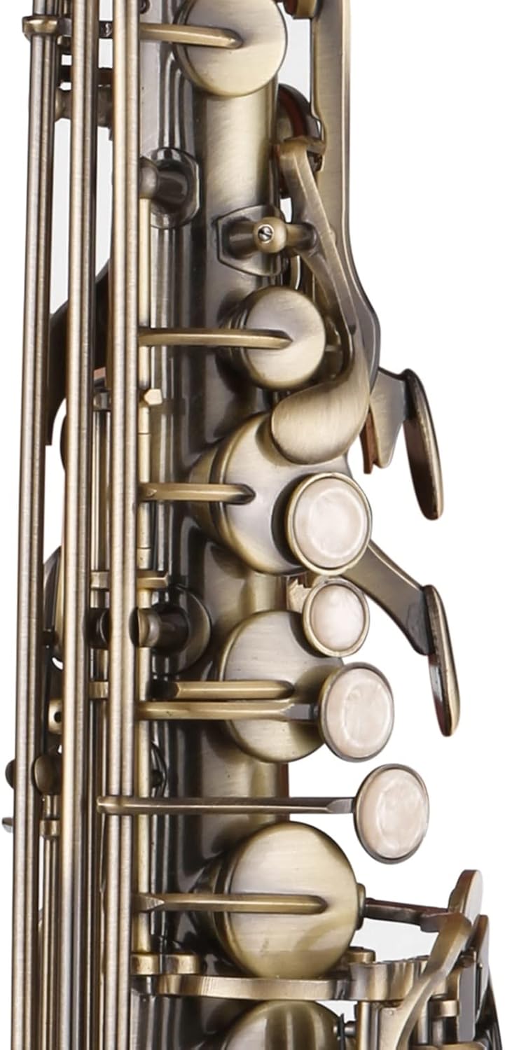 TSTS E-Flat Alto Saxophone Brass Lacquered Gold EB Sax Woodwind Music Instruments with Case Brass Sax Full Kit