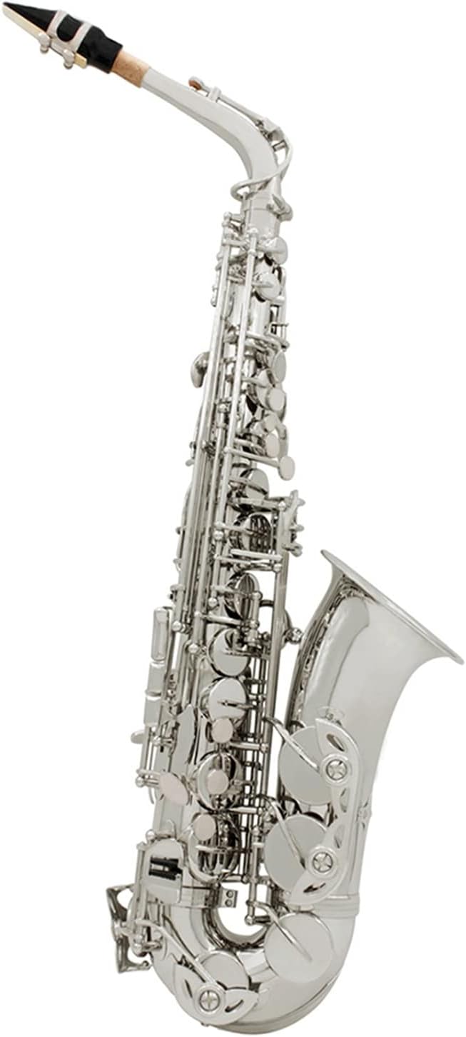 Alto Saxophone EB Tune Gold Lacquer Silver Lacquer Brass Body Woodwind Instrument Beginner Saxophone (Color : Silver Sax)