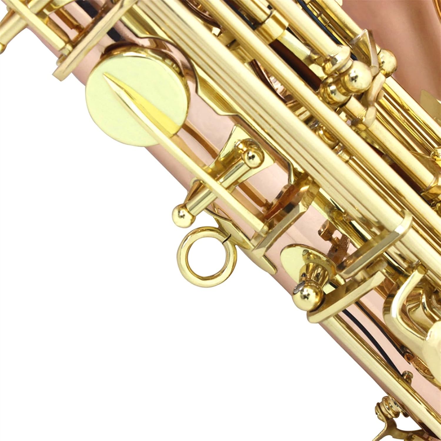 EB Alto Saxophone Phosphor Bronze Material E Flat Sax Woodwind Instrument with Case Gloves Reeds Strap