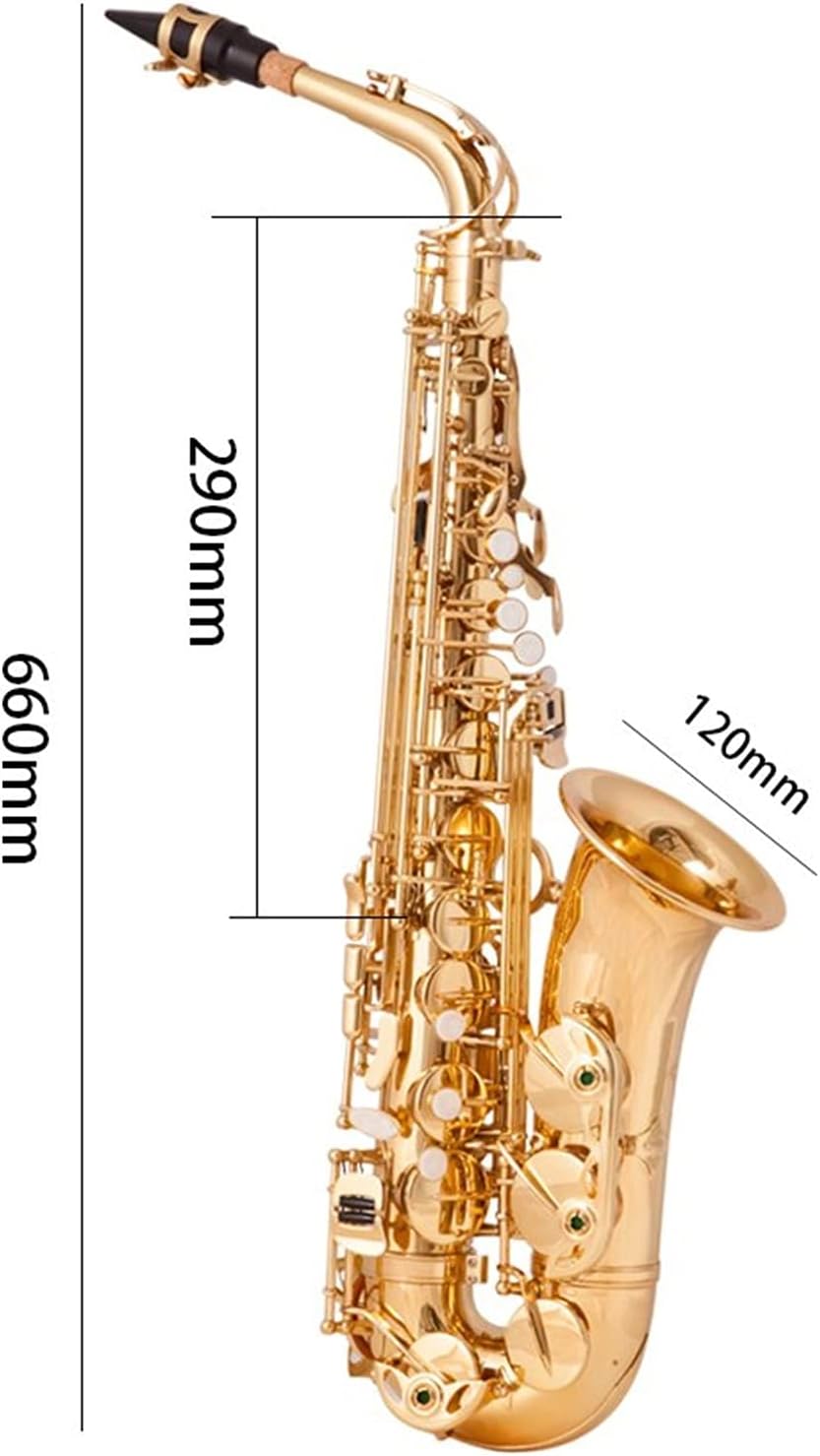EB Alto Saxophone Brass Gold Lacquer Music Instrument E- Flat Sax with Case Accessories Student Saxophone (Color : Red Bronze)
