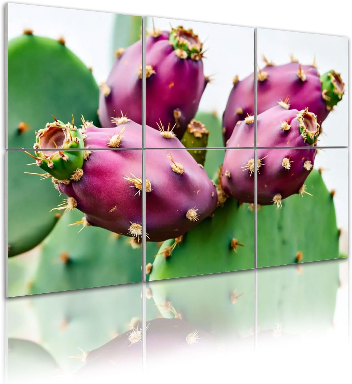 6 Pack Art Acoustic Panels Opuntia cactus fruits ripen Soundproof Wall Panels, 48