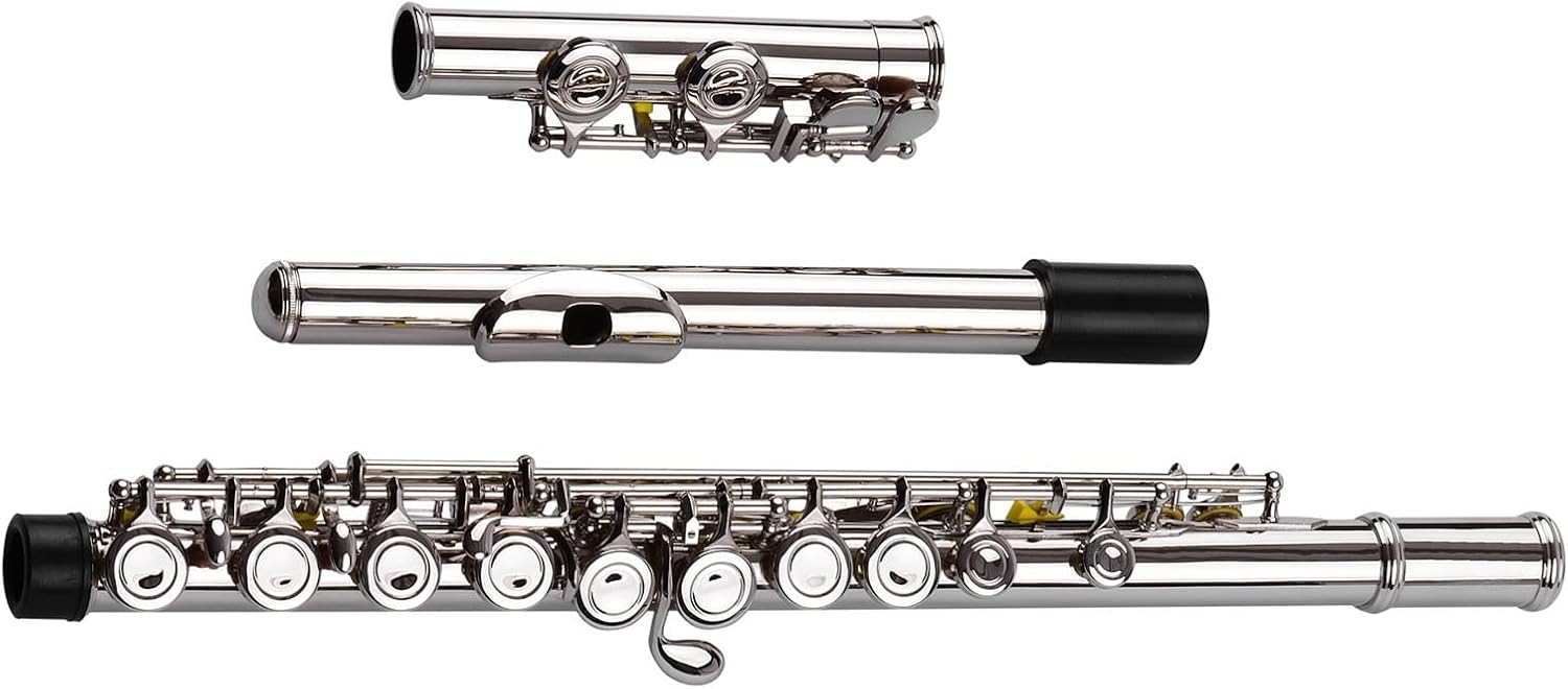 TSTS Flutes Musical Instrument 16 Holes C Key Flute Silver Plated Cupronickel Woodwind Instrument with Gloves Case Accessories