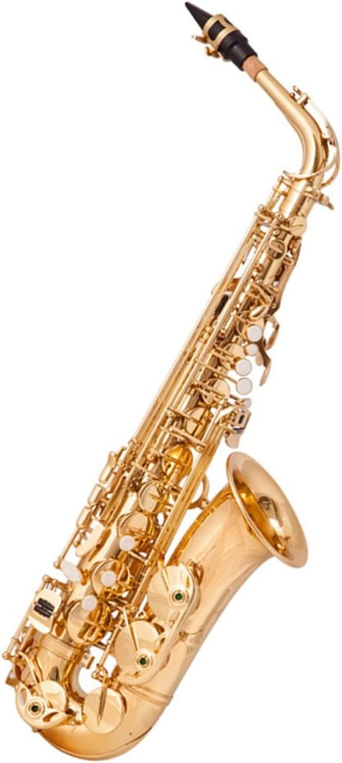 EB Alto Saxophone Brass Gold Lacquer E-Flat Sax Woodwind Instrument with Accessories