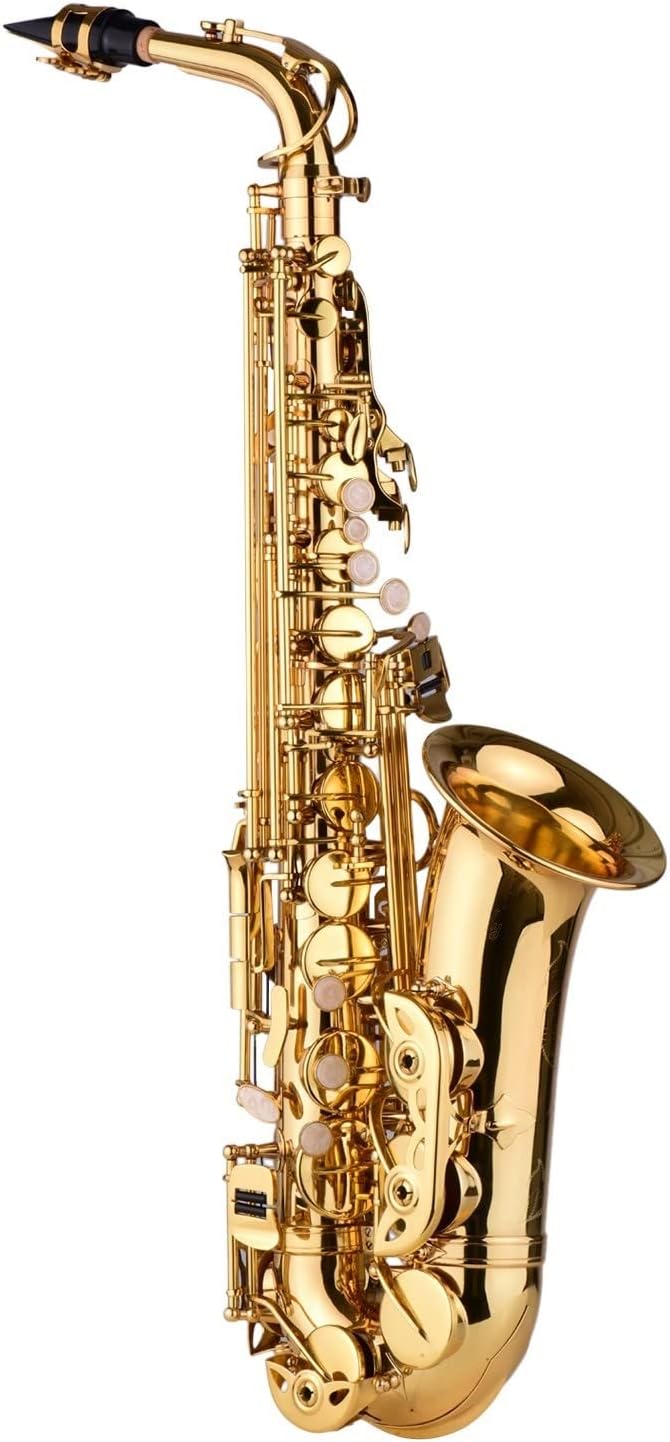 EB Alto Saxophone Brass Lacquered Alto Sax Wind Instrument with Carry Case Gloves (Color : 1)