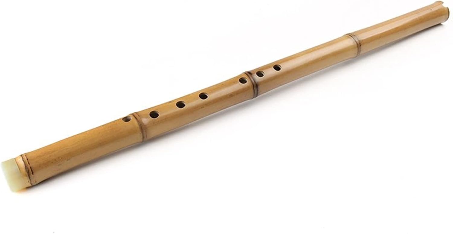 G/F Key Chinese Bamboo Flute Xiao Woodwind Vertical Traditional Musical Instrument Flute (Color : 1 G)
