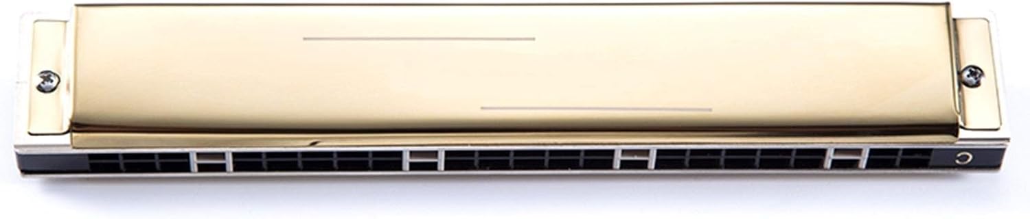 Harmonica Tremolo Harmonica 24 Holes for Beginners Mouth Organ Key of C/D/E/F/G/A Musical Instruments Gaita (Color : Key of D)