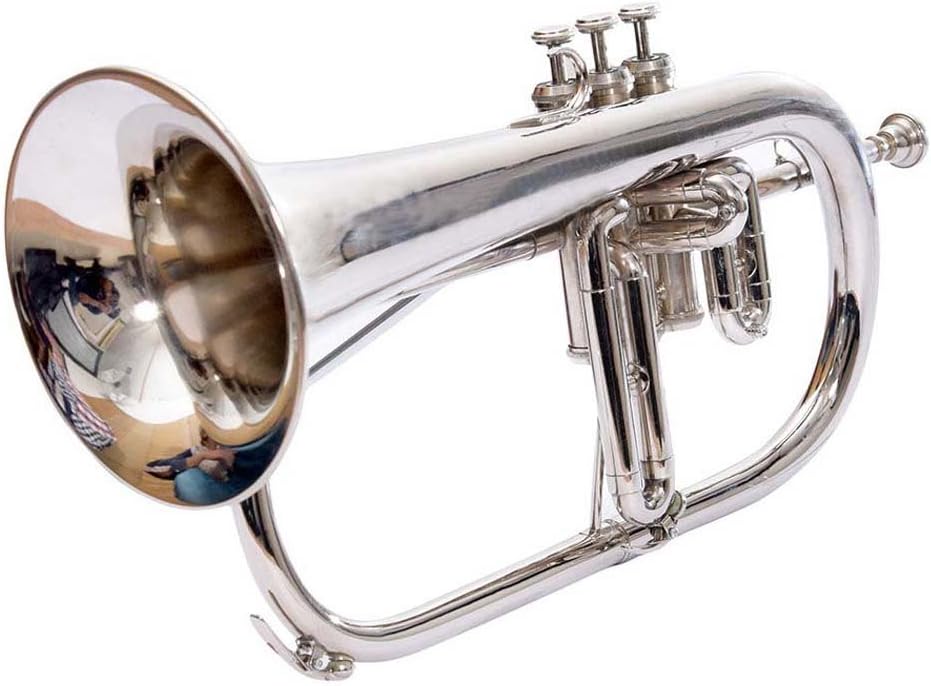 Flugelhorn Pro Professional brass chrome plated SCX985