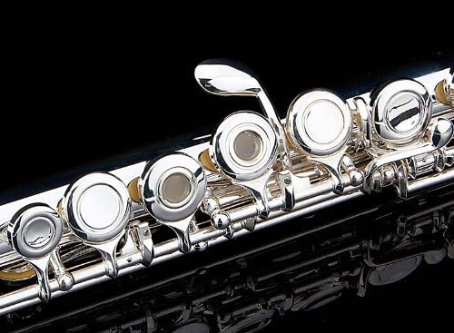Glory Silver Plated Intermediate 16 Keys Open/Closed Hole C Flute