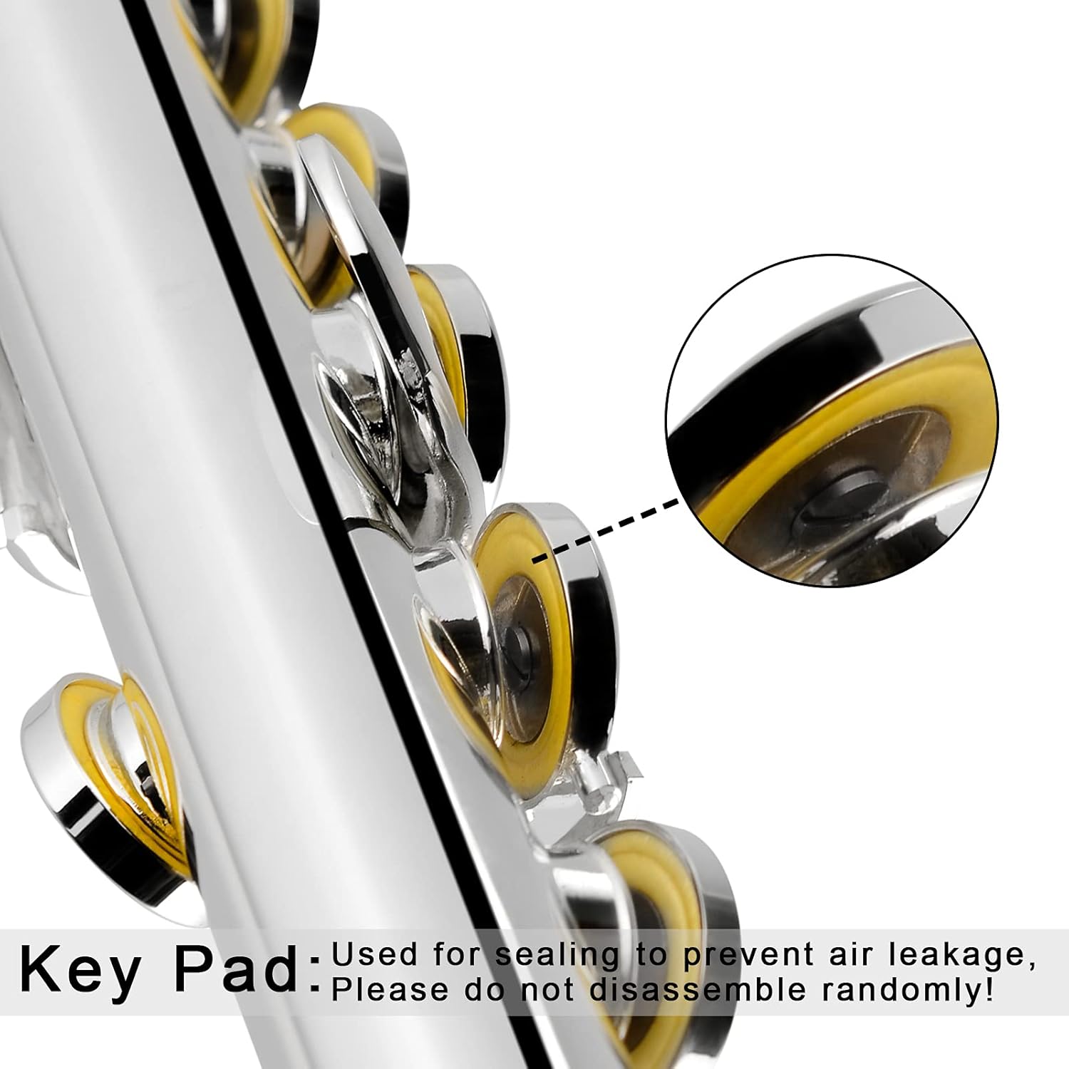 EASTROCK Open Hole Flutes C 16 Keys Silver Plated Flute Instrument for Beginner Kids Student with Carrying Case,Stand,Cleaning kit,Gloves,Tuning Rod(Open/Closed Hole,Silver Plated)