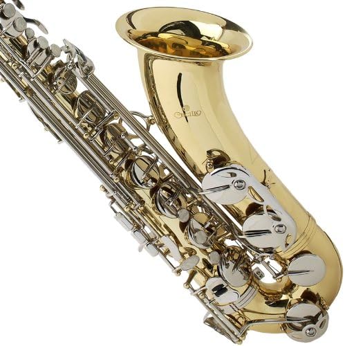 Mendini By Cecilio Tenor Saxophone - B Flat Saxophone for Beginner Musicians Students with Hard Case, Tuner, Mouthpiece, 10 Reeds, Polishing Cloth, Cleaning Rod, Gloves, Strap (Gold Nickel)